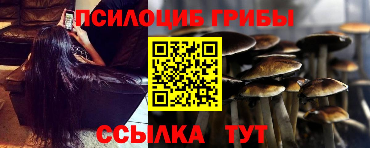 Псилоцибиновые грибы GOLDEN TEACHER Нефтекумск