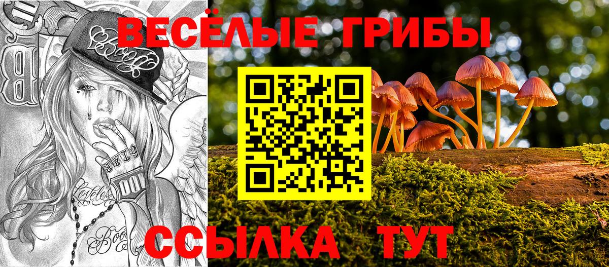 Псилоцибиновые грибы мицелий  Вход с VPN  Псилоцибиновые грибы Psilocybine cubensis  Нефтекумск 